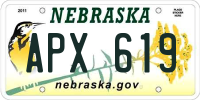 NE license plate APX619