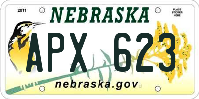 NE license plate APX623