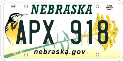 NE license plate APX918