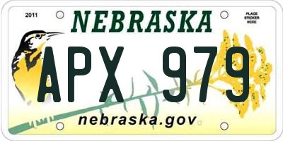 NE license plate APX979