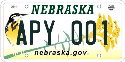 NE license plate APY001