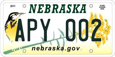 NE license plate APY002