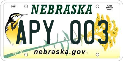 NE license plate APY003