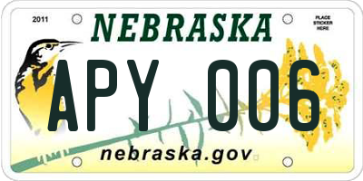 NE license plate APY006