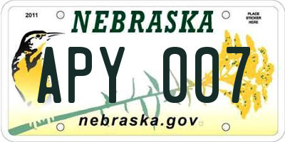 NE license plate APY007