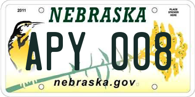 NE license plate APY008