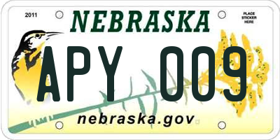 NE license plate APY009