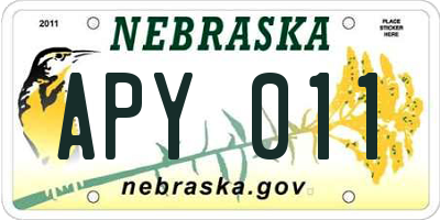 NE license plate APY011