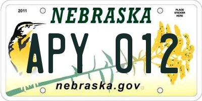 NE license plate APY012