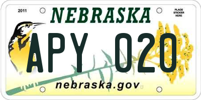 NE license plate APY020