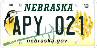 NE license plate APY021