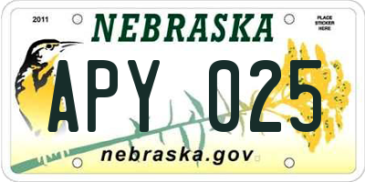 NE license plate APY025