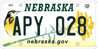 NE license plate APY028