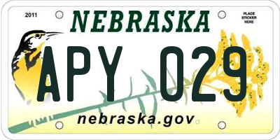 NE license plate APY029