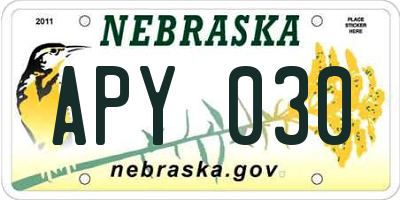 NE license plate APY030