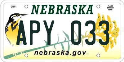 NE license plate APY033