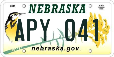 NE license plate APY041