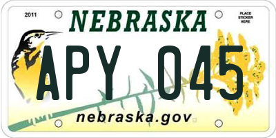 NE license plate APY045