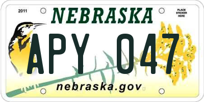 NE license plate APY047