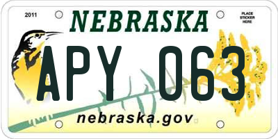 NE license plate APY063