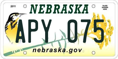 NE license plate APY075