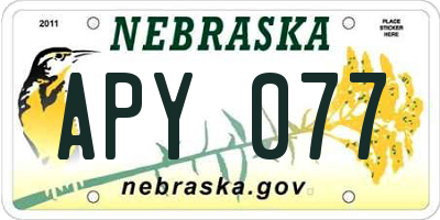 NE license plate APY077