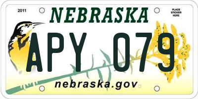 NE license plate APY079