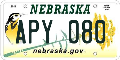NE license plate APY080