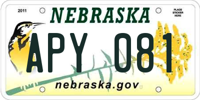 NE license plate APY081