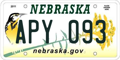 NE license plate APY093