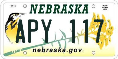 NE license plate APY117