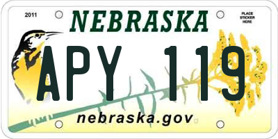 NE license plate APY119