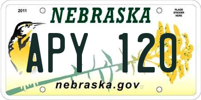 NE license plate APY120
