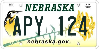 NE license plate APY124