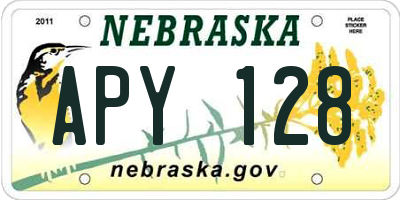 NE license plate APY128