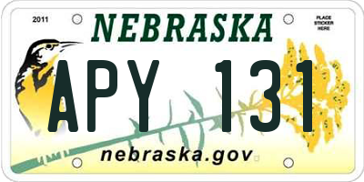 NE license plate APY131