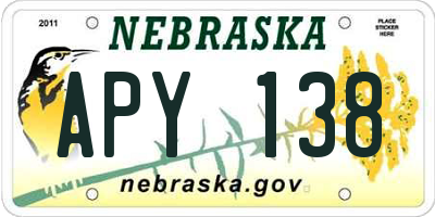 NE license plate APY138