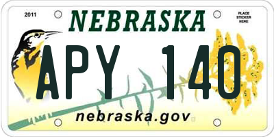 NE license plate APY140
