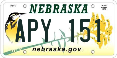 NE license plate APY151