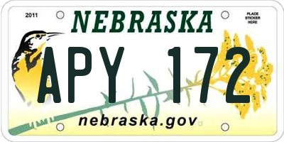 NE license plate APY172