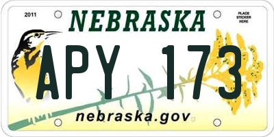 NE license plate APY173