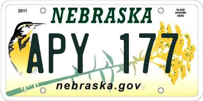 NE license plate APY177