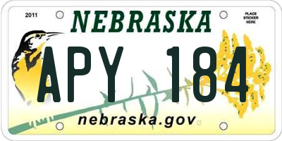 NE license plate APY184