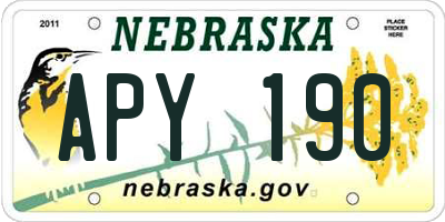 NE license plate APY190