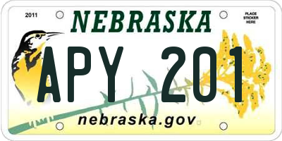 NE license plate APY201