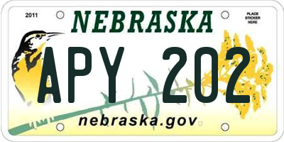 NE license plate APY202