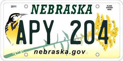 NE license plate APY204