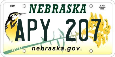 NE license plate APY207