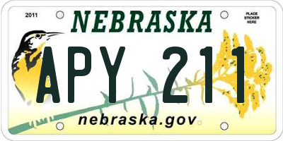 NE license plate APY211