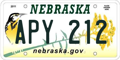 NE license plate APY212